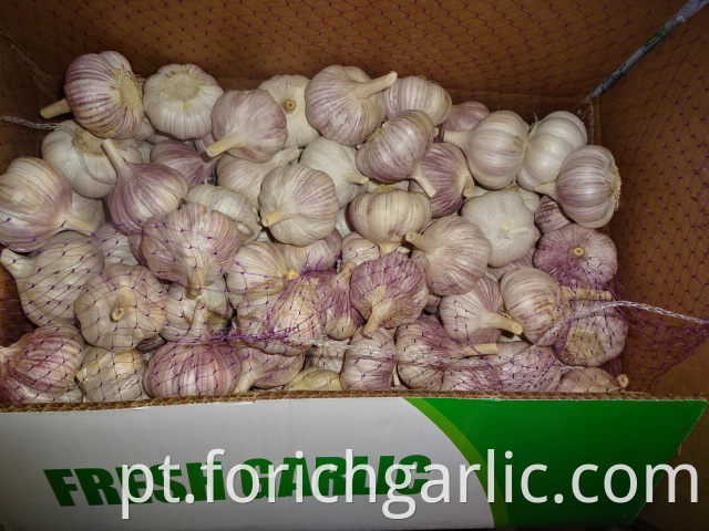 New Fresh Garlicfor Sale